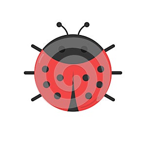 Cute ladybug animal round vector illustration