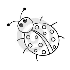 Cute ladybug. Doodle chubby little ladybird. Vector linear illustration