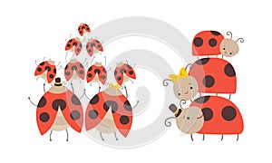 Cute Ladybug Families Set, Insect Parents and their Lovely Little Kids Cartoon Vector Illustration