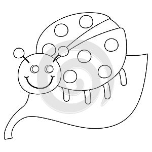Cute ladybug sitting on leaf. Black and white