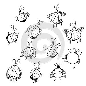 Cute ladybugs, cartoon insects in vector