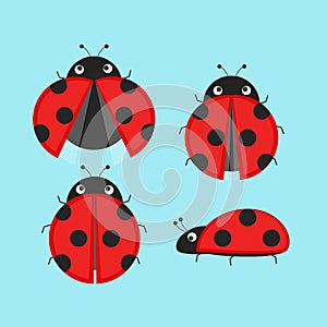 Cute Ladybugs Icon Set