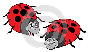 Cute ladybugs vector illustration