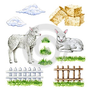 Cute lamb farm set. Hand drawn illustration. Cute little newborn sheep, green grass, fence, hay, clouds. Domestic farm