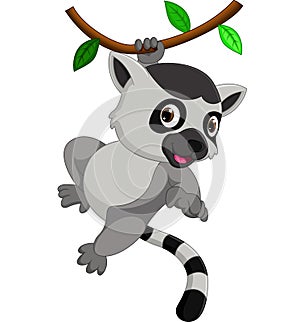 Cute lemur cartoon