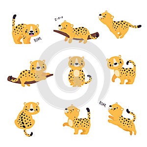 Cute Leopard or Jaguar Cub Sleeping on Tree Branch and Roaring Vector Set