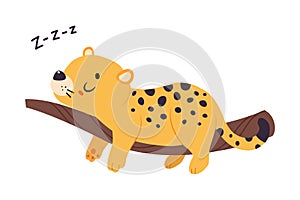 Cute Leopard or Jaguar Cub Sleeping on Tree Branch Vector Illustration