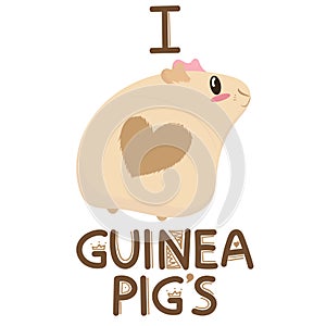 Cute light beige guinea pig with a heart on the bottom and pink ears, i love guinea pigs, cute pet rodent, vector illustration