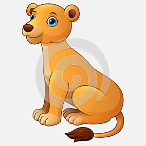 Cute lioness sitting cartoon isolated on white background