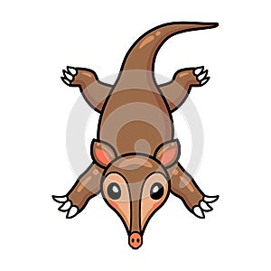 Cute little aardvark cartoon character