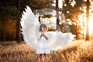 Cute little angel girl in white clothes, dress and wings, standing where the light of sunset, the sun& x27;s rays in the
