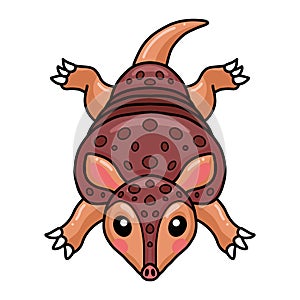 Cute little armadillo cartoon character