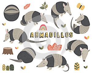 Cute Little Armadillos Collections Set II