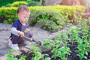 Cute little Asian 1 year old toddler baby boy child planting young tree