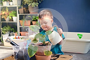Cute little Asian boy kid watering plants with watering can after planting tree in plant pot at home indoor garden in urban city,