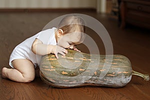 Cute little baby biting big pumpkin