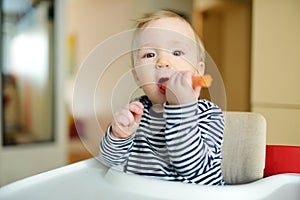 Cute little baby boy eating carrot sitting in a white highchair. Introducing first solid foods. Fresh vegetables for infants.