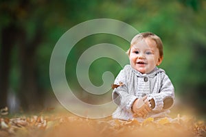 Cute little baby boy play in autumn park with fallen leaves