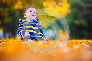 Cute little baby boy play in autumn park with fallen leaves