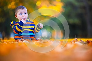 Cute little baby boy play in autumn park with fallen leaves