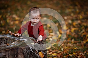 Cute little baby boy playing and having fun in autumn park with yellow leaves