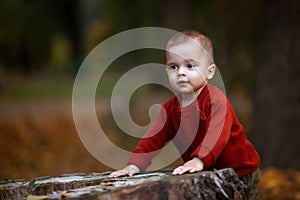 Cute little baby boy playing and having fun in autumn park with yellow leaves