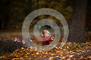 Cute little baby boy playing and having fun in autumn park with yellow leaves