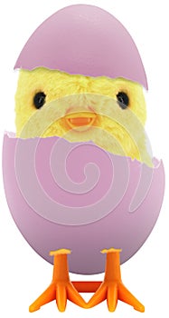 Cute little baby chick coming out of a broken colourful painted Easter egg isolated on white transparent background PNG