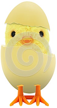 Cute little baby chick coming out of a broken colourful painted Easter egg isolated on white transparent background PNG