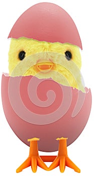 Cute little baby chick coming out of a broken colourful painted Easter egg isolated on white transparent background PNG