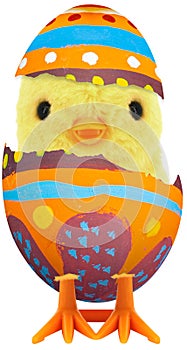 Cute little baby chick coming out of a broken colourful painted Easter egg isolated on white transparent background PNG