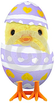 Cute little baby chick coming out of a broken colourful painted Easter egg isolated on white transparent background PNG