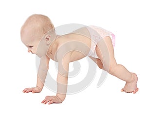 Cute little baby crawling