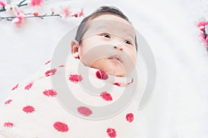 Cute little baby lies on a white cloth and wrapped in quilt, Looking around. on white background.