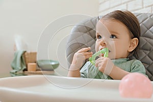 Cute little baby nibbling teether in high chair indoors. Space for text