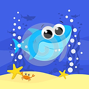 Cute little baby shark under the sea