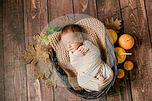 Cute little baby sleeping in a wicker basket of twigs with little orange pumpkins.