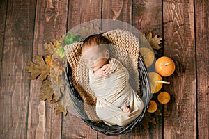 Cute little baby sleeping in a wicker basket of twigs with little orange pumpkins.