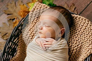 Cute little baby sleeping in a wicker basket of twigs with little orange pumpkins.