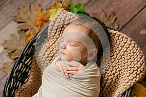 Cute little baby sleeping in a wicker basket of twigs with little orange pumpkins.