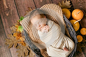 Cute little baby sleeping in a wicker basket of twigs with little orange pumpkins.