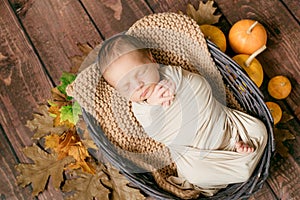 Cute little baby sleeping in a wicker basket of twigs with little orange pumpkins.