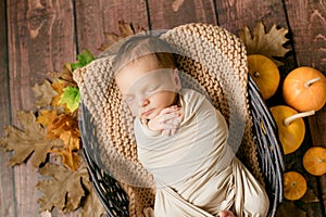 Cute little baby sleeping in a wicker basket of twigs with little orange pumpkins.