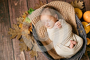 Cute little baby sleeping in a wicker basket of twigs with little orange pumpkins.