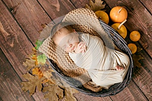 Cute little baby sleeping in a wicker basket of twigs with little orange pumpkins.