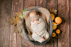 Cute little baby sleeping in a wicker basket of twigs with little orange pumpkins.