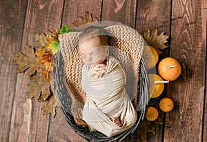 Cute little baby sleeping in a wicker basket of twigs with little orange pumpkins.