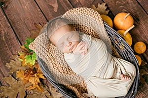 Cute little baby sleeping in a wicker basket of twigs with little orange pumpkins.