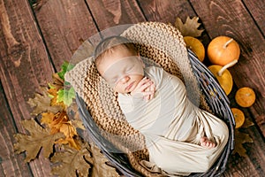 Cute little baby sleeping in a wicker basket of twigs with yellow leaves