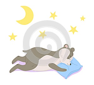 Cute little badger sleeping on pillow. Dream, woodland animl, children design, nurcery concept. Can be used as kids